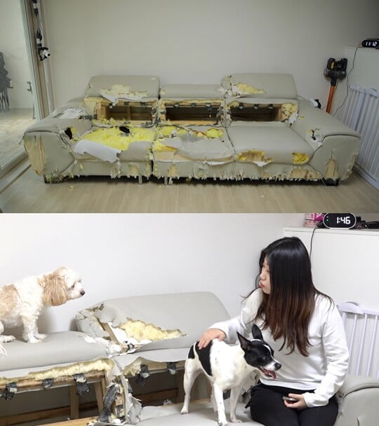 (사진=KBS 2TV)