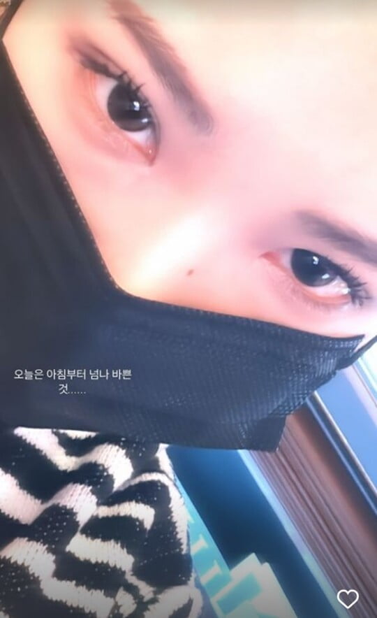 (사진=최준희 SNS)