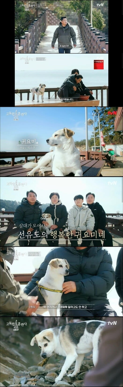 '고독한 훈련사'(사진=방송 화면 캡처)
