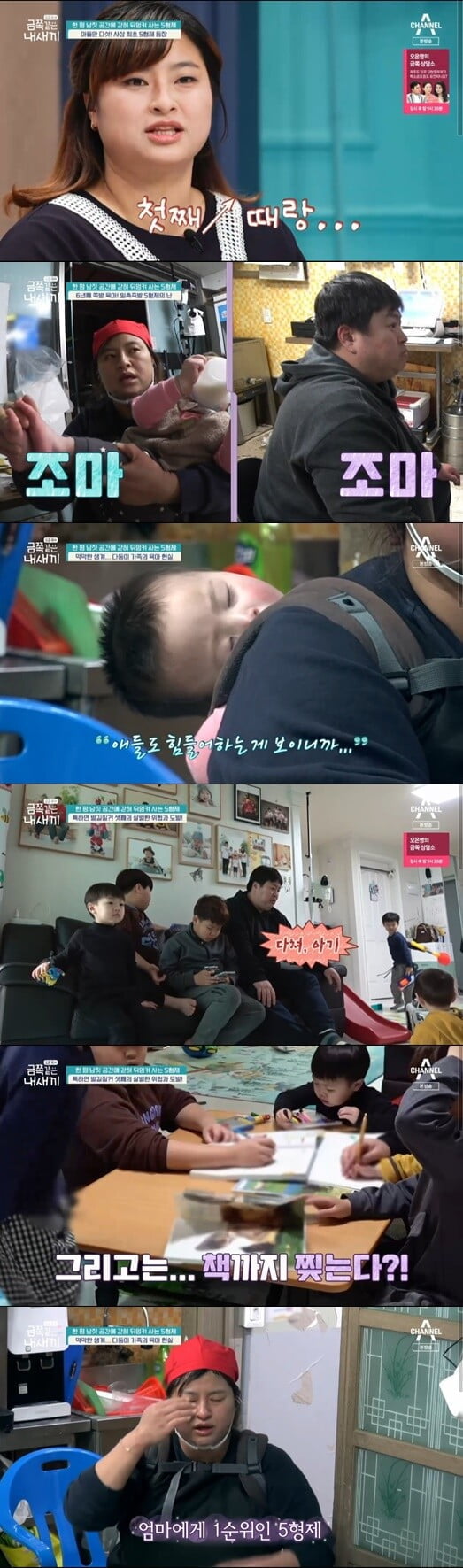 '금쪽같은 내 새끼'(사진=방송 화면 캡처)