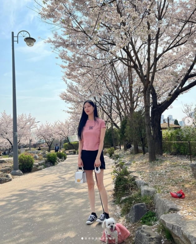 서현, 벚꽃과 깔맞춤 패션..."몽땅 망하기 전"