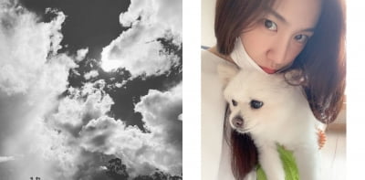 서지혜, 반려견 아리와 영원한 이별...사랑해