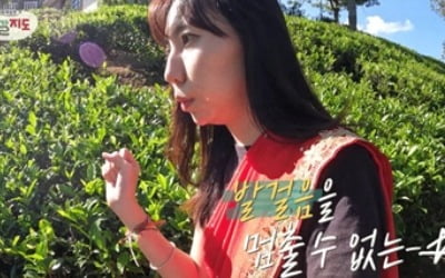 [종합] '도깨비'부터 BTS까지…'랜선 체감'한 K콘텐츠의 위력('다시갈지도')