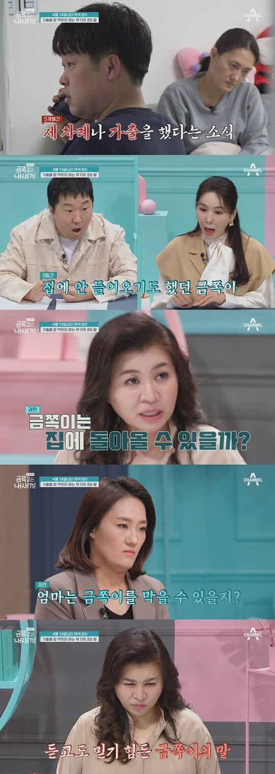 (사진=채널A)