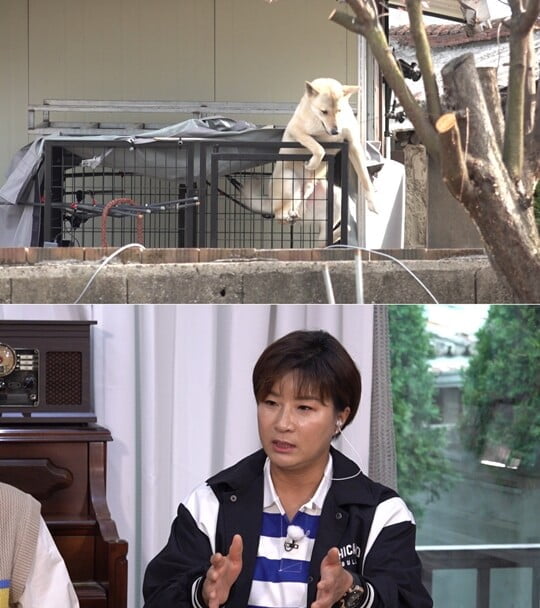 (사진=KBS 2TV)