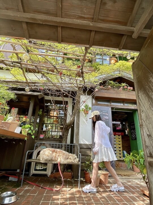 (사진=이치하라란 SNS)