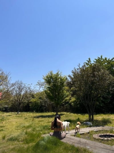 이효리, 제주댁 평화로운 일상...요가하며 힐링