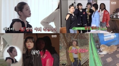 BTS 문제 틀린 혜리…초유의 사태, 야외 취침에 '신경전 폭발'('혜미리예채파')