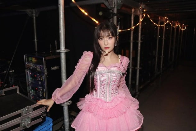사진=레드벨벳 슬기 온라인 계정