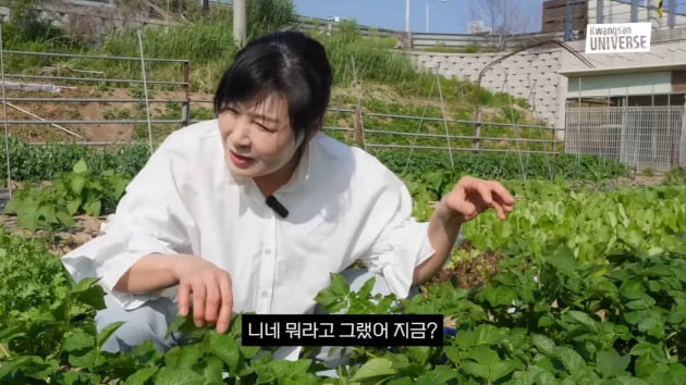 '김승현母' 백옥자, 김포 농장주 됐다…남편 몰래 꾸민 '옥자농장'('김승현가족')