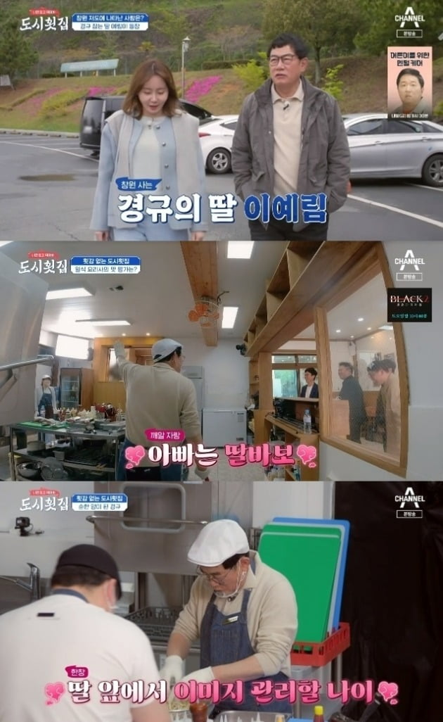 사진=채널A '도시횟집' 방송 화면.