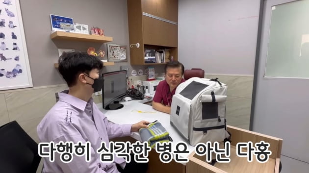 '♥김다예와 2세 준비' 박수홍 "애 태어나면 어떡하냐"…벌써부터 걱정('검은고양이 다홍')