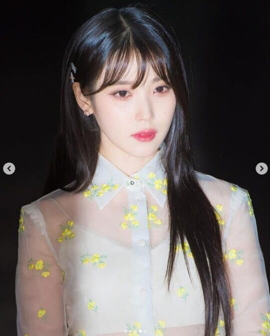 god 박준형, 아이유 SNS에 댓글 달았다가 "추해요 아저씨" 악플 받은 사연은?