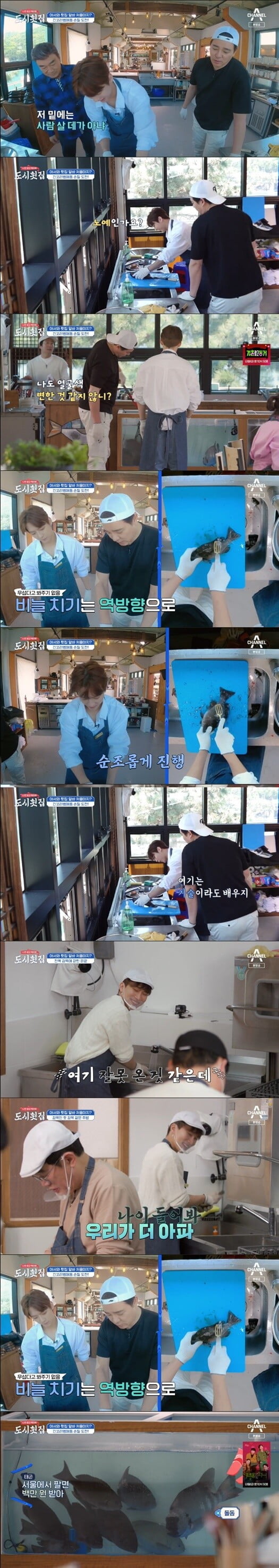 '도시횟집'(사진=방송 화면 캡처)