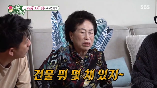 전원주 "주식 58만원→30억, 건물 여러 채 보유…돈은 다리미로 다려" 재력 비결[TEN이슈]