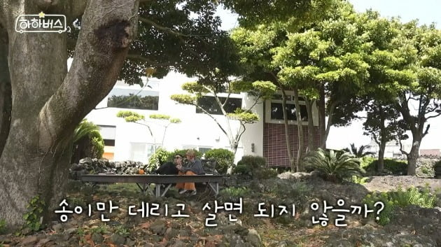 사진='하하버스' 영상 캡처