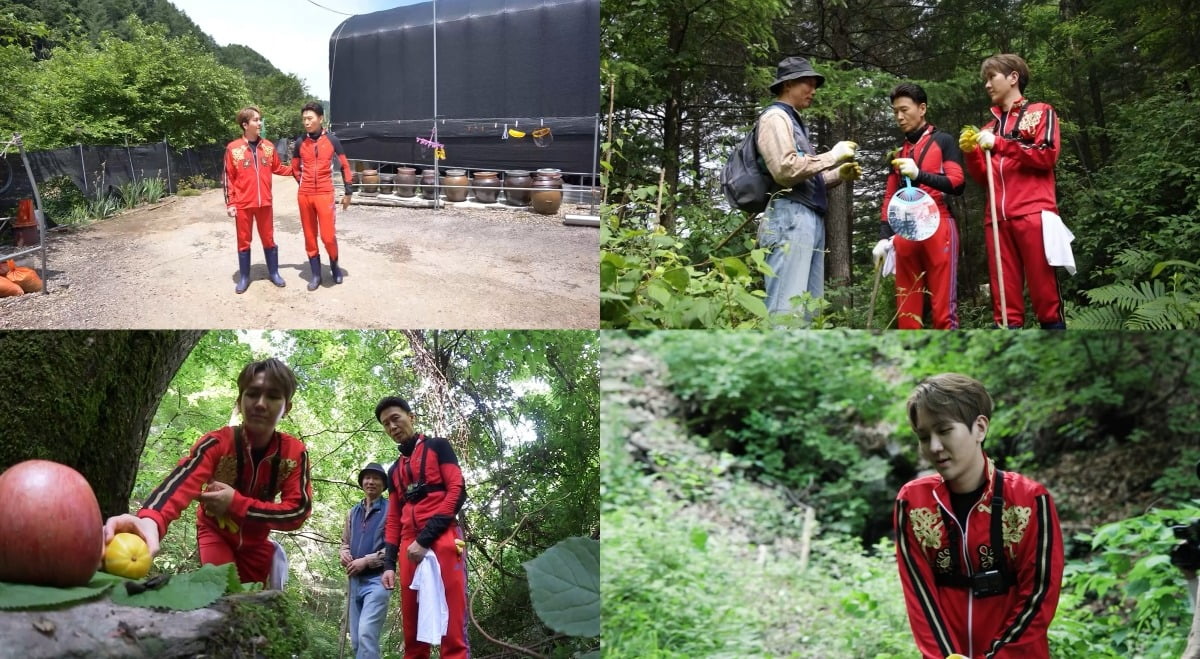 사진제공=KBS 2TV '살림남'