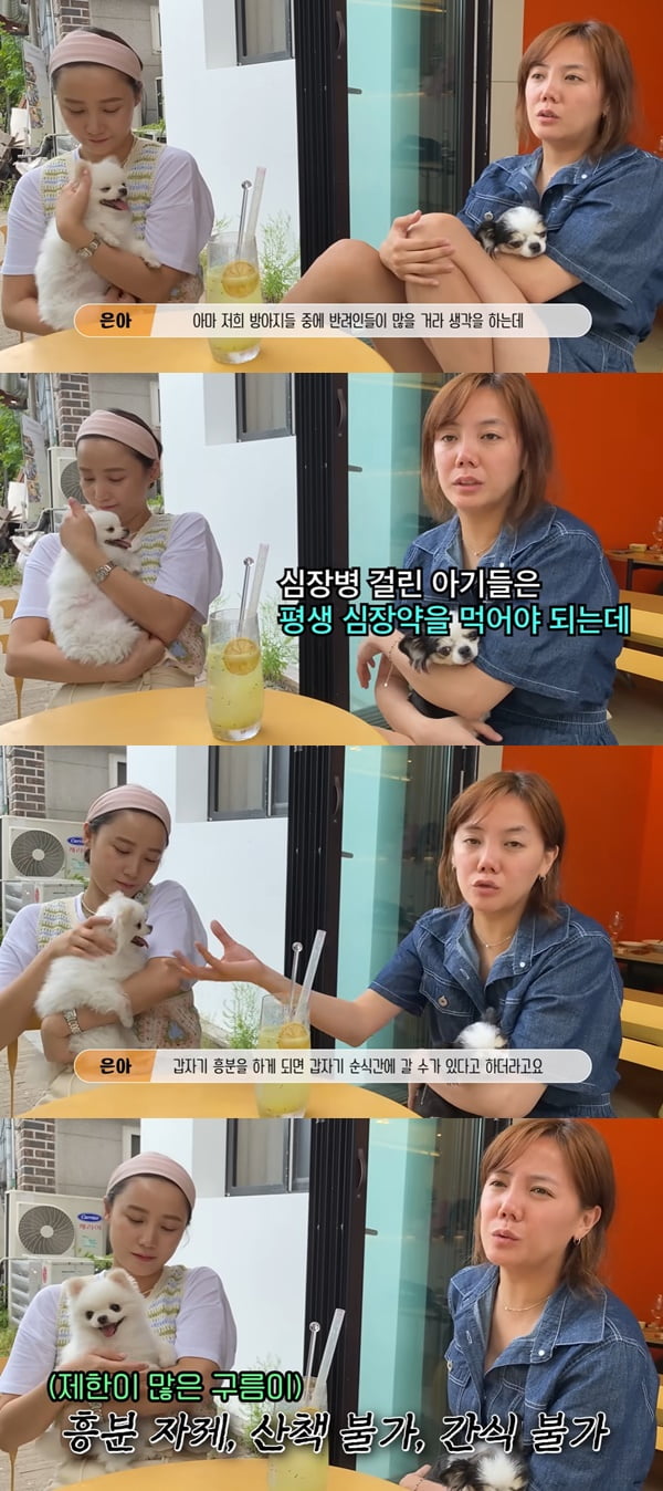 /사진=유튜브 채널 '방가네' 영상 캡처