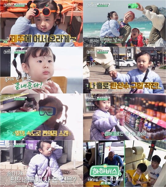 (사진=하하버스)