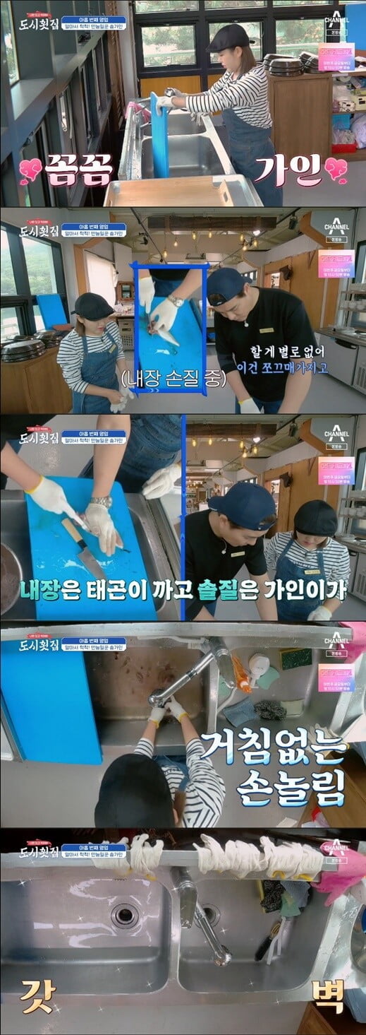 '도시횟집'(사진=방송 화면 캡처)