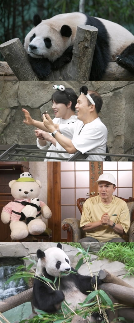 김광규, 아기 판다에 “연예인 보는 느낌”(‘나혼산’)