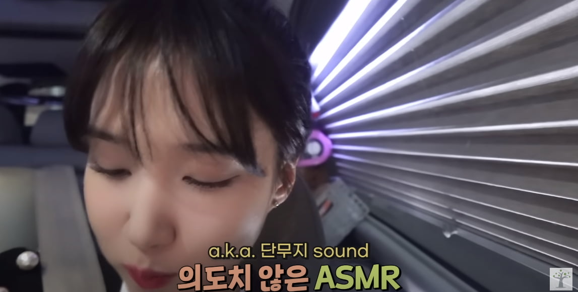 박은빈, 먹고 또 먹는데 43kg 실화?…김밥·파스타·고기 등 쉼없는 먹방('나무엑터스')