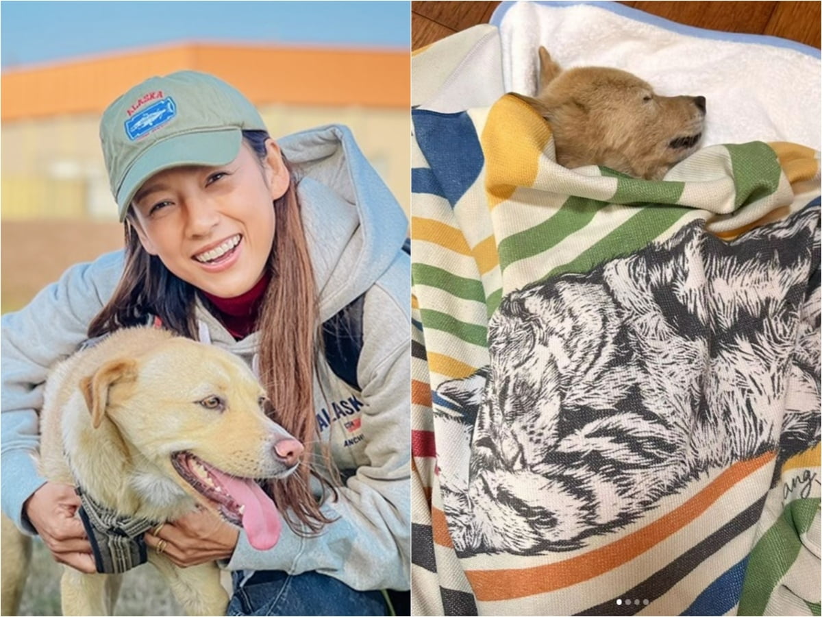 /사진 = tvN-안성 평강공주보호소