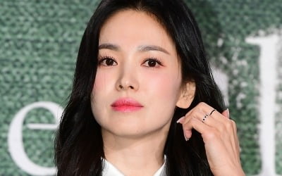 같은 사과인데 이렇게 다르네…송혜교 '사과문의 정석'→댄스 가수 유랑단의 '변명문'[TEN이슈]