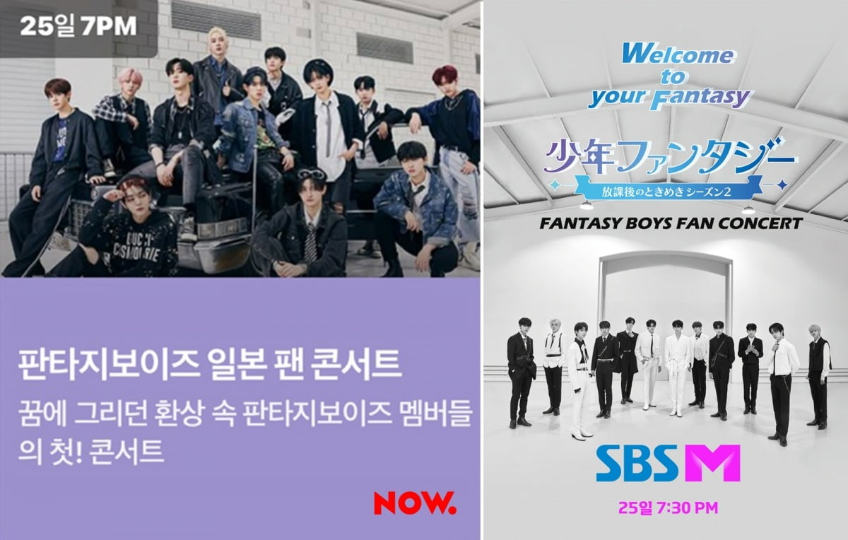사진제공=포켓돌스튜디오