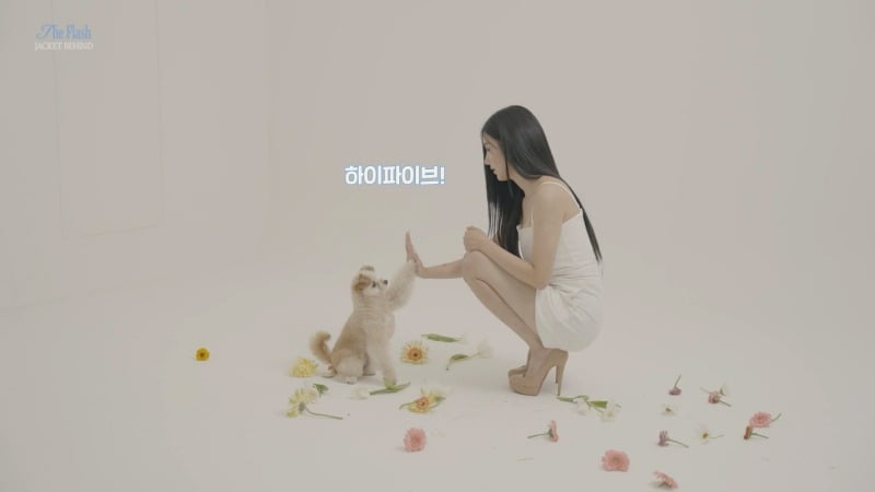 권은비, 반려견 금비와 함께한 새 싱글 재킷 비하인드 필름 공개