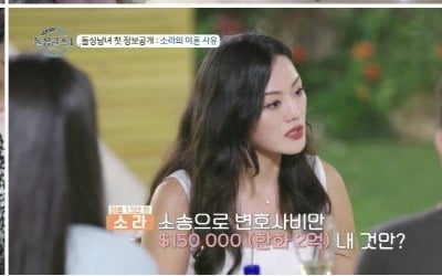 "200 million won for divorce litigation" Domestic Violence·Affair, Confession of Reasons for Divorce