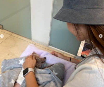 Kim Joon-hee, 18-year-old dog, came to cardiac arrest... Recovering from dog bite accident