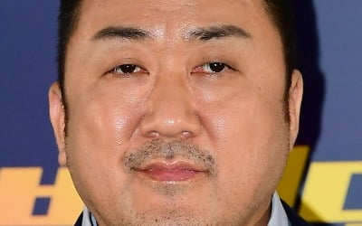 Ma Dong-seok's next film is the Hollywood movie 'Helldiver'... producer and cast