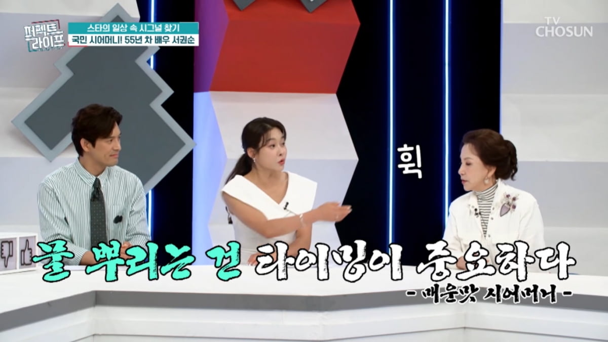 [종합] 현영, 지은 죄도 없는데 괜히 후덜덜…'국민 시어머니'에 눌린 기세('퍼펙트라이프')
