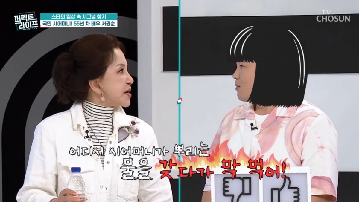 [종합] 현영, 지은 죄도 없는데 괜히 후덜덜…'국민 시어머니'에 눌린 기세('퍼펙트라이프')