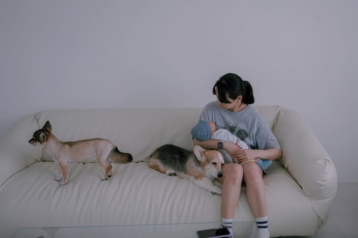 '김무열♥' 윤승아, 득남 후 암 투병 반려견 근황 공개 "여전히 힘내는 중"