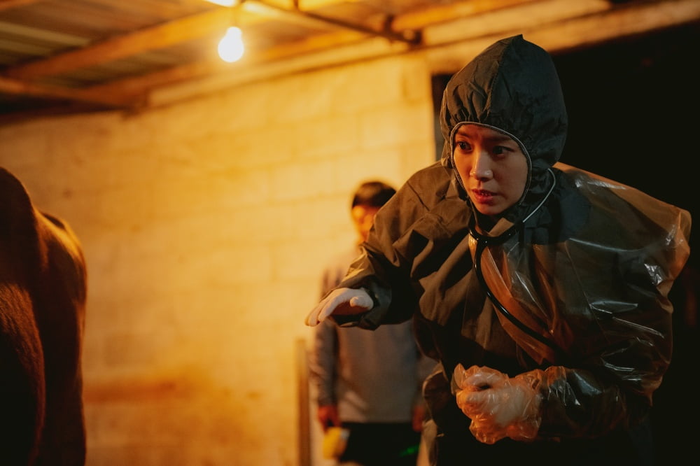 한지민, 꿈은 반려동물 전문 수의사였는데…현실과 괴리('힙하게')
