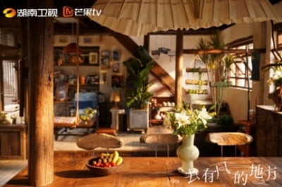 '갯마을 차차차' 표절 의심 中 '거유풍적지방', 결국 서울서 상탈까[TEN이슈]