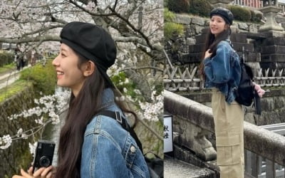 Bona, seeing cherry blossoms in Japan