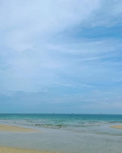 Song Hye-kyo hugs her dog Ruby and smiles brightly