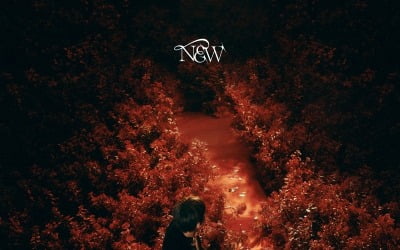 ENHYPEN reveals mood board for 4th mini album 'DARK BLOOD'
