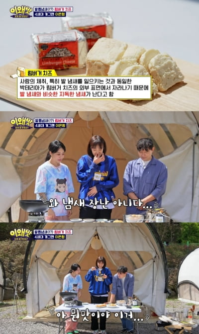 'Seungwoo's Dad' collapses in front of Limburger cheese that smells like toenails