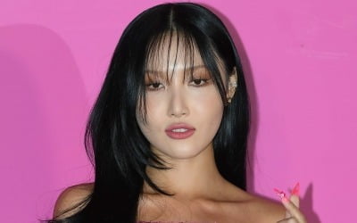 '공연음란죄 피소' 화사 측 "성실히 임했다"…과거 GD는 어떤 처분 받았나 [종합]