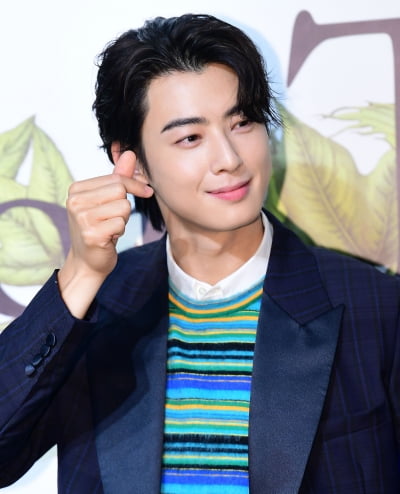 아스트로 차은우, 함께 추석 송편을 만들고 싶은 남자 가수 1위…더보이즈 주연 2위[TEN차트]