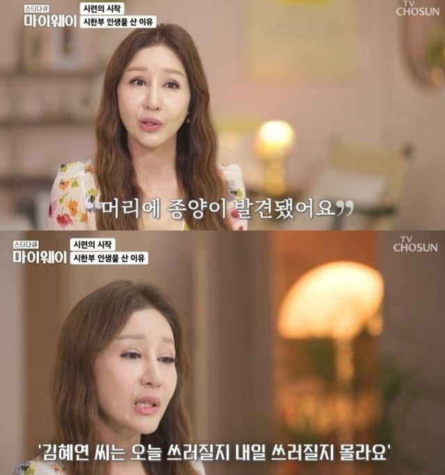 ./사진=TV조선