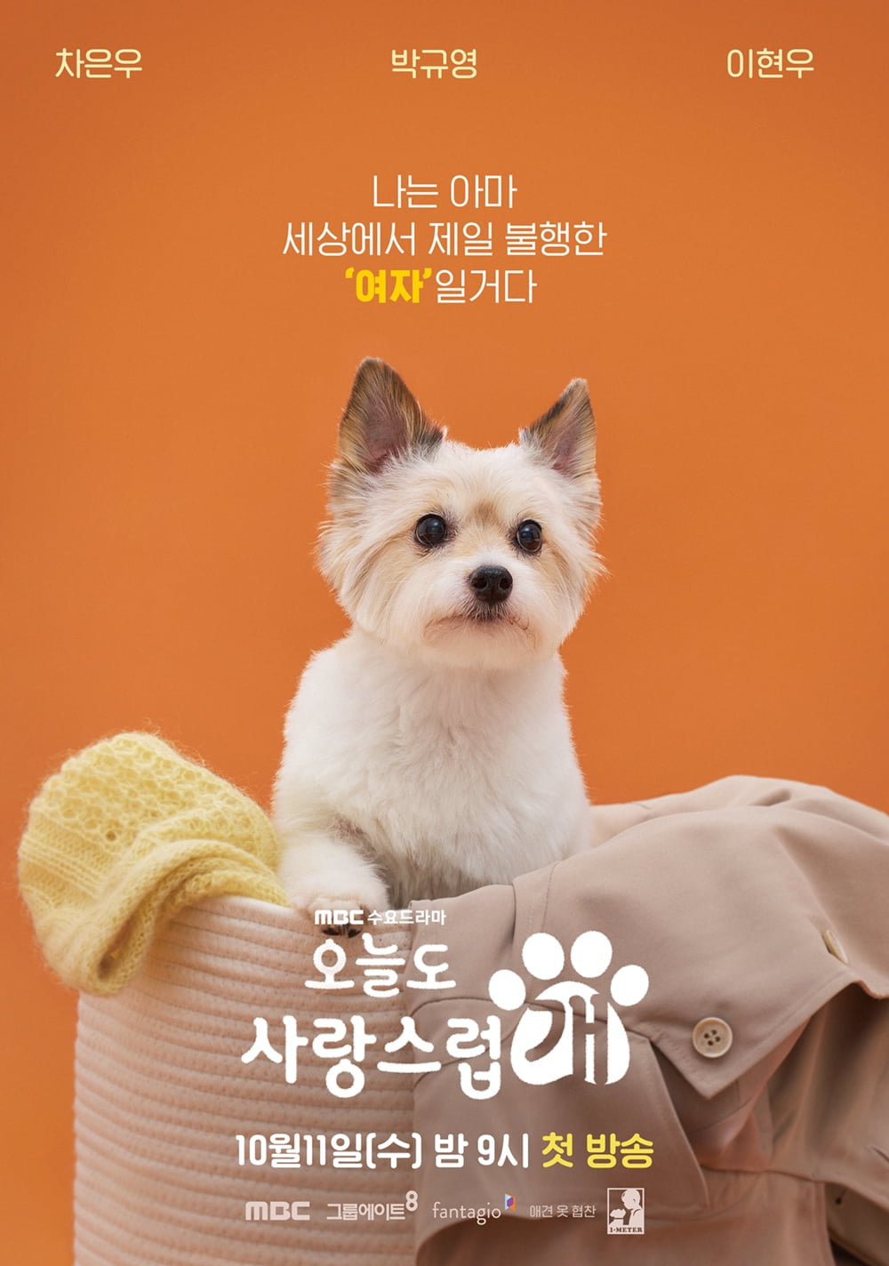 박규영, 개로 변했다…"나는 세상에서 제일 불행한 여자" ('오사개')