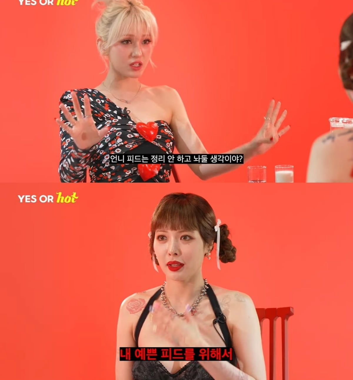 ./유튜브 채널 'TEO'제공