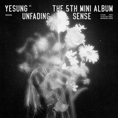Super Junior Yesung, comeback after 7 months
