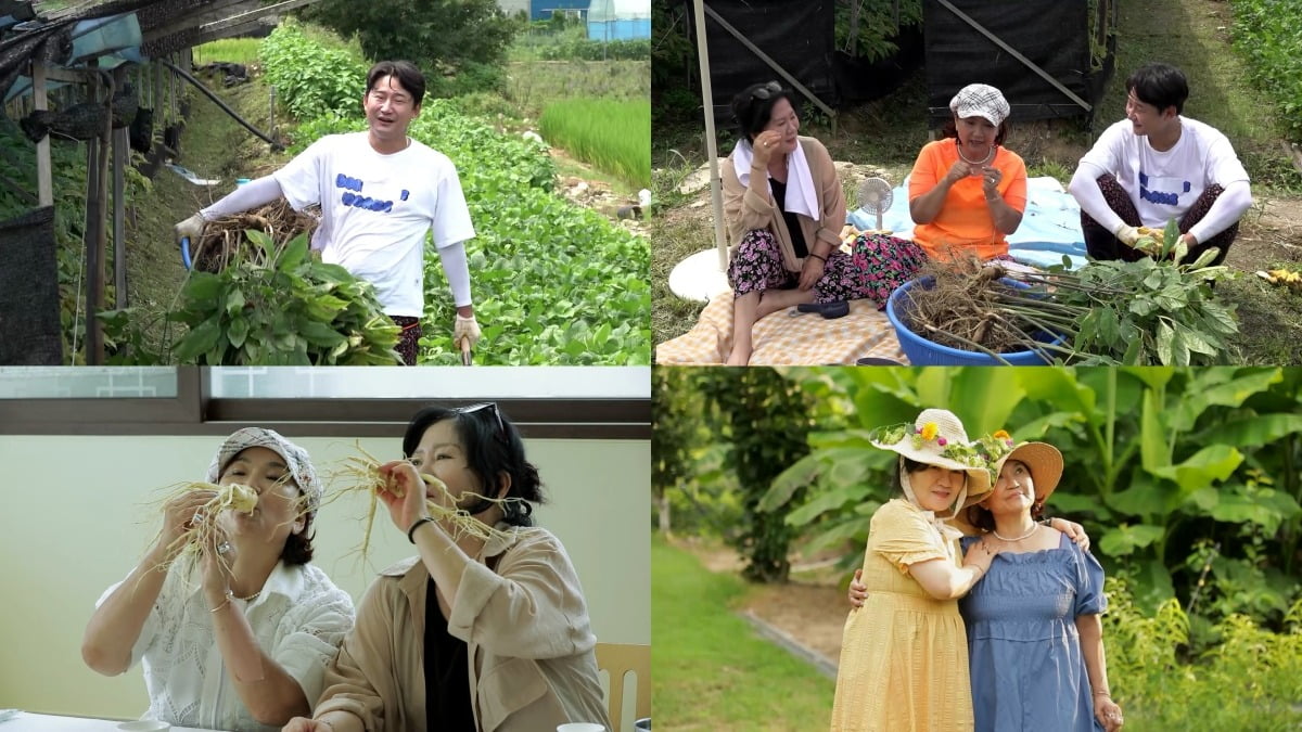 '살림남2' /사진제공=KBS