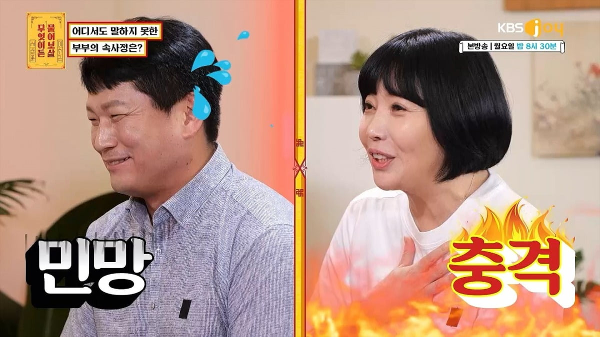 KBS Joy 제공